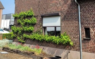 Leveren en plaatsen van Aluprof rolluik in Reuver.