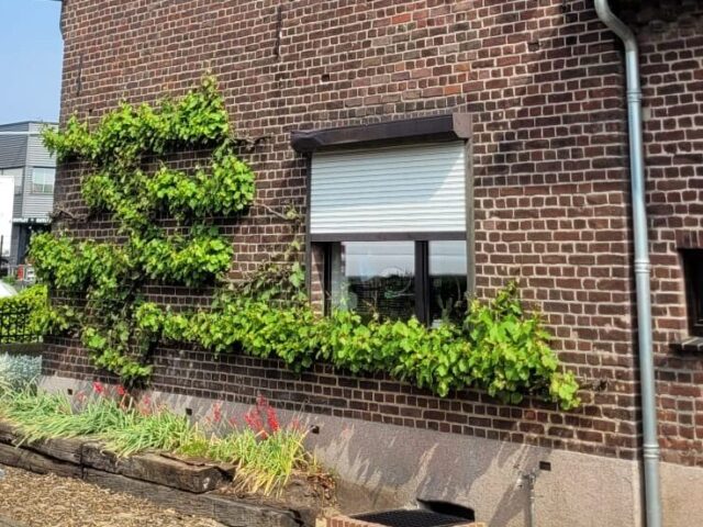 Leveren en plaatsen van Aluprof rolluik in Reuver.